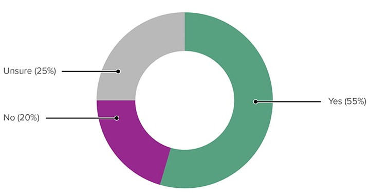 Donut chart showing responses to whether the Digital Service Design Standard should be mandatory. Yes: 55%,  No: 20%, Unsure: 25%.